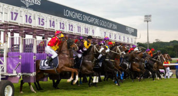 Asia Horse Racing Horse Racing From Singapore Hong Kong And Macau